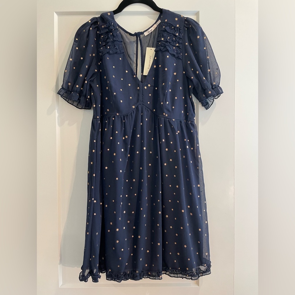 NWT Francesca‘s dress SZ L